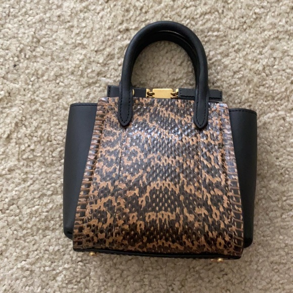 Coach Troupe Snake - Picture 2 of 3